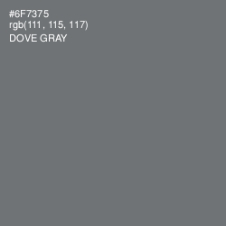 #6F7375 - Dove Gray Color Image